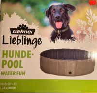 Hunde Pool Water fun Wandsbek - Hamburg Duvenstedt  Vorschau