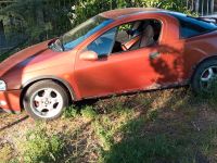 Schlachte Opel Tigra A 1,4l Mecklenburg-Vorpommern - Neubrandenburg Vorschau