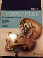 Lernpaket der Anatomie Schädel Prometheus Niedersachsen - Müden Vorschau