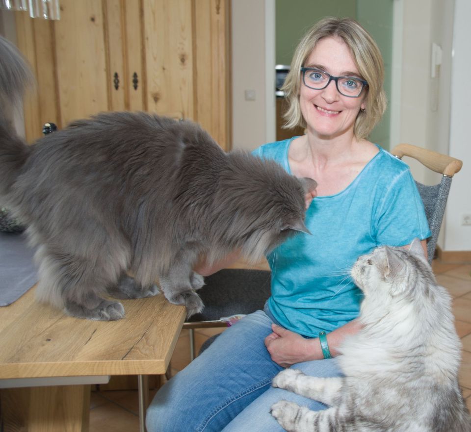 Mobile Katzenbetreuung - Katzensitting zuhause in Neunkirchen