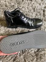 Geox Schuhe Friedrichshain-Kreuzberg - Kreuzberg Vorschau