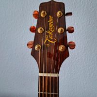 Takamine EFS 40 C mit original Koffer Stuttgart - Bad Cannstatt Vorschau