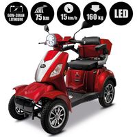 Rolektro, Seniorenmobil E-Quad 15 V.3 Lithium Akku,1000 Watt Brandenburg - Herzberg/Elster Vorschau