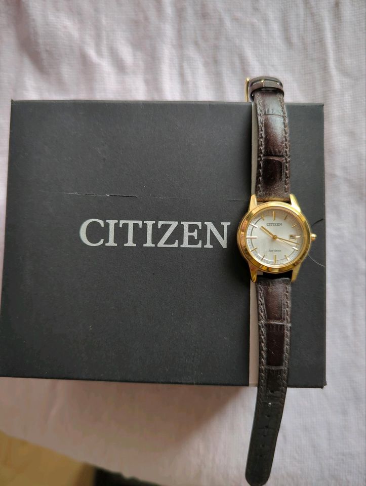 Citizen Damen analog ecodrive Uhr Solar in Heinbockel