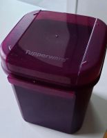 Tupperware 1,2 Liter Baden-Württemberg - Steißlingen Vorschau