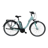 WIE NEU *** Triumph E-Cloud 4 E-Bike Cityrad Wave | 45 cm Hessen - Heppenheim (Bergstraße) Vorschau