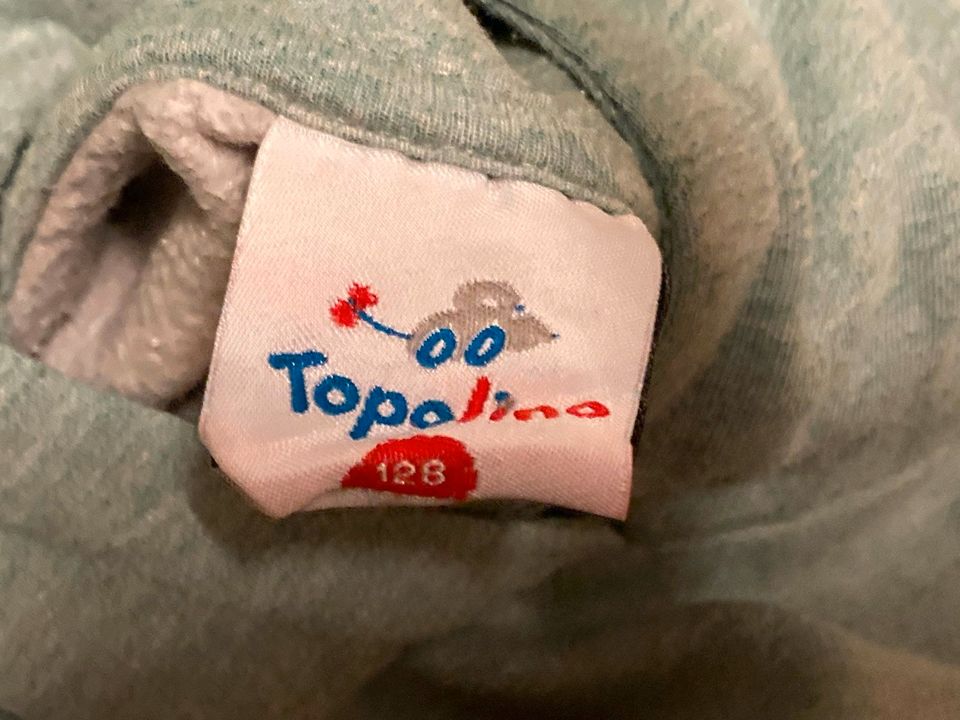 Pullover Sweatshirt Gr.128 (122) Topolino Igel in Leipzig