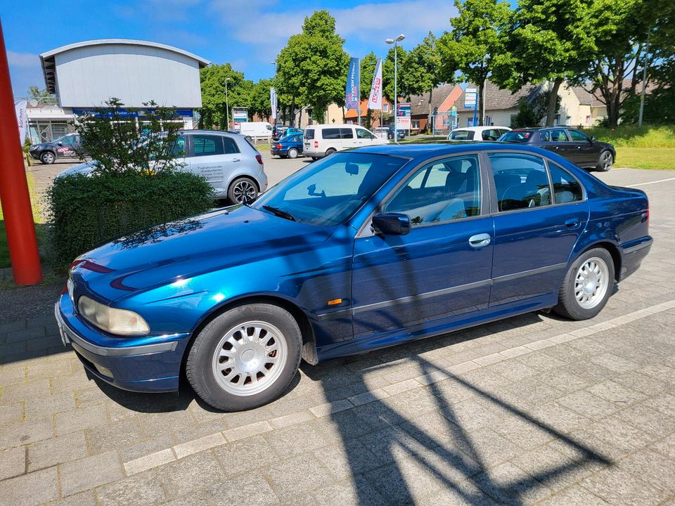 BMW 523i, viele Neuteile in Nienburg (Weser)