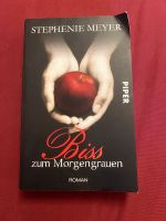 Buch „Biss zum Morgengrauen“ Baden-Württemberg - Remchingen Vorschau