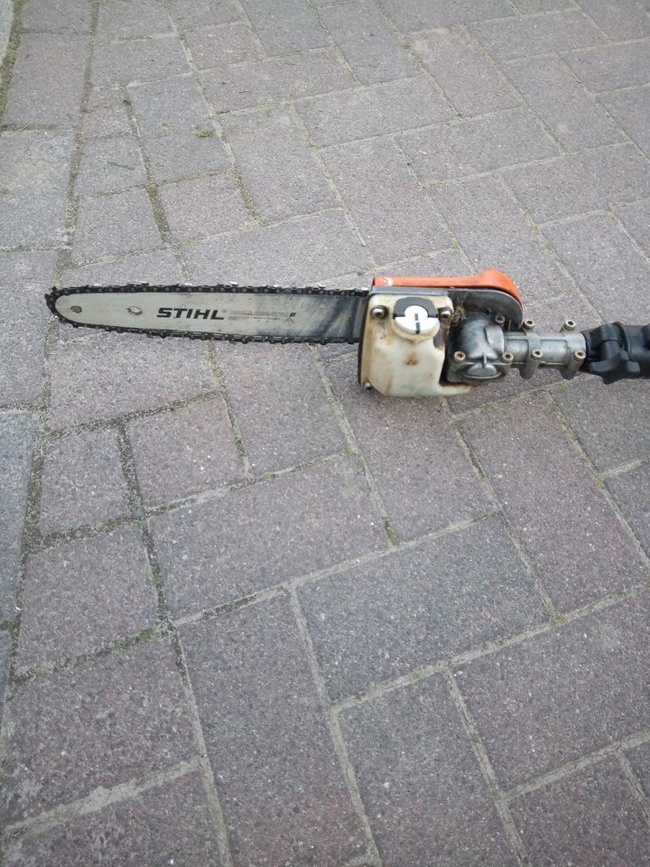 Stihl HT 75 in Lensahn