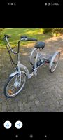 Dreirad elektro Fahrrad Vorpommern-Rügen - Landkreis - Niepars Vorschau