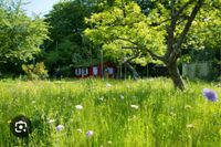 Suche! Wiese, Garten, Weiher mit kleinen anbaumöglichleiten Bayern - Dietenhofen Vorschau