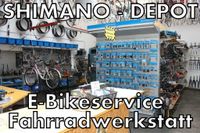 Große E-Bike Inspektion € 79,00 jetzt Termin buchen! Bonn - Bad Godesberg Vorschau