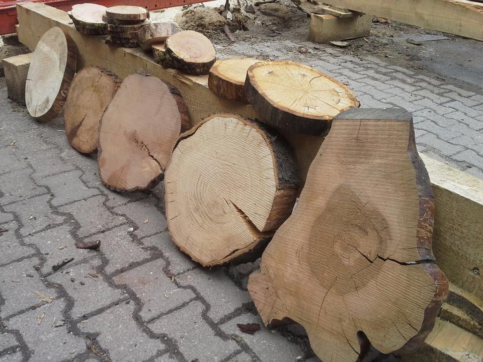 Baumscheiben, Holzscheiben sägerau oder gehobelt mit Waldkante in Usingen