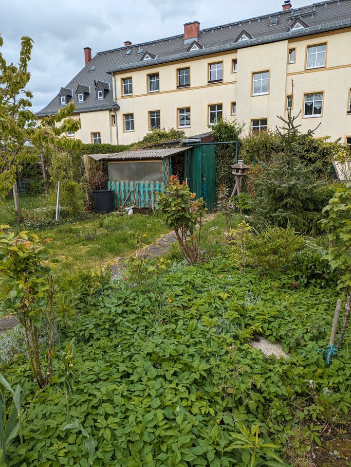 gemütliche Zweiraumwohnung am Küchwald mit eigenem Hausgarten in Chemnitz