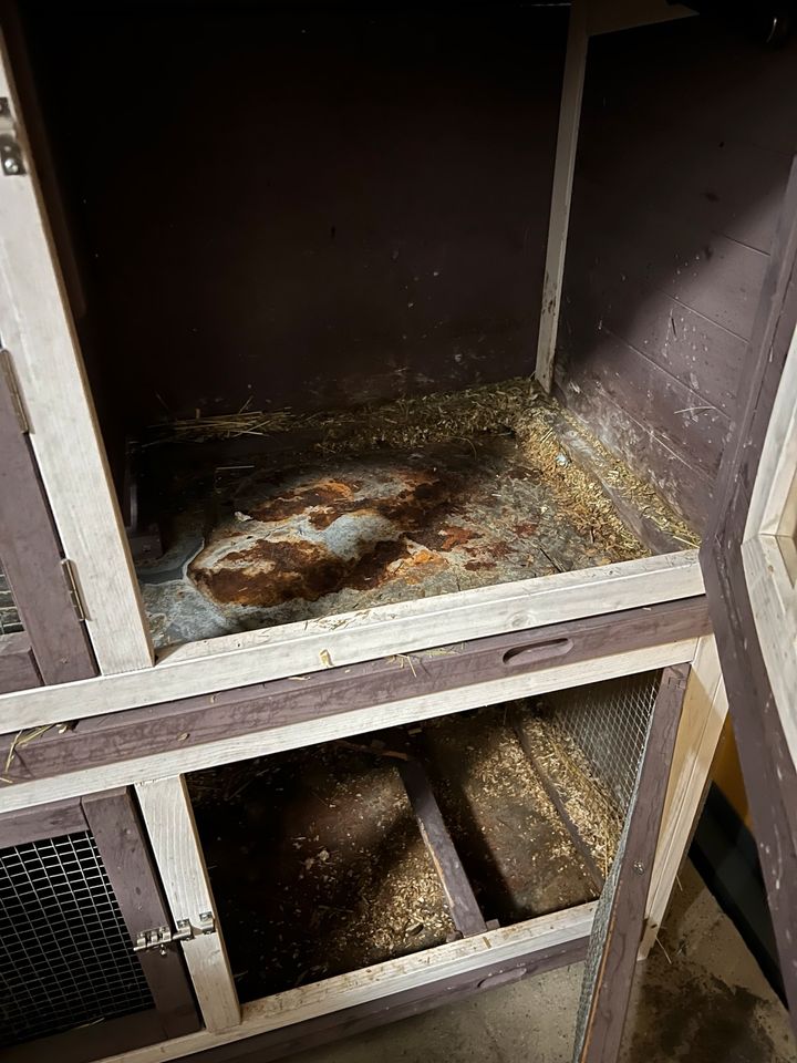 Meerschweinchen Stall mit Zubehör in Mühlhausen