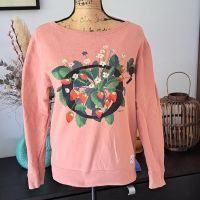 Marc O'Polo Sweatshirt Pullover mit Erdbeeren lachs/grün Gr. S Nordrhein-Westfalen - Langenfeld Vorschau