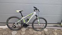 Bulls Fahrrad Hardtail Bayern - Kempten Vorschau