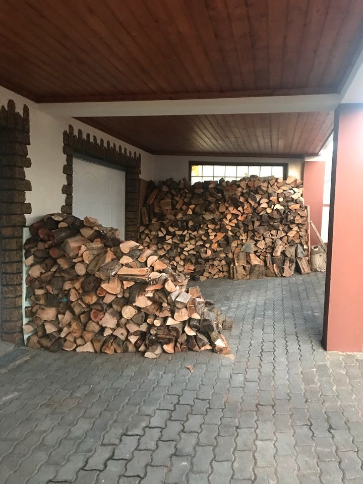 Brennholz FRISCH Buche Eiche Laubholz mix  geschnitten/ gespalten in Hillscheid