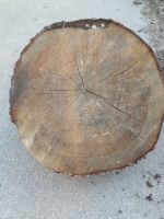 Baumscheibe Holzplatte Tisch Douglasie groß Sachsen - Freital Vorschau