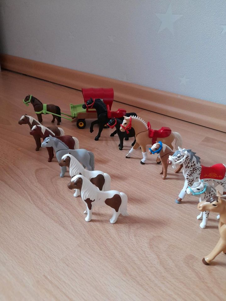 Playmobil Pferde  Kutsche Fohlen Pony in Kalbach