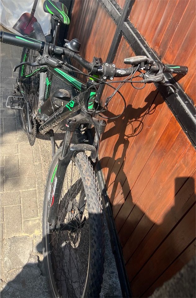 E bike Bergsteiger 5.1 29 Zoll in Thale