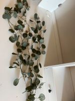 5 Girlanden Eucalyptus Hochzeit Deko Depot Berlin - Marzahn Vorschau