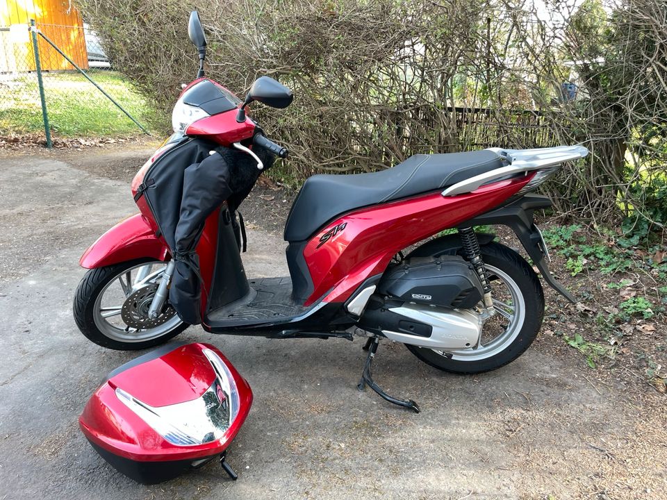 Honda Roller 125i / 1.504km / 123ccm / 9kW in Dresden