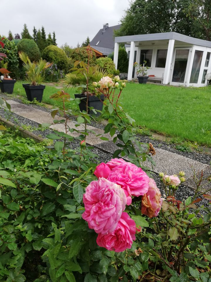 Melsdorf. Beste Lage. Großes Einfamilienhaus mit viel Potenzial! in Kiel