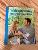 Welpenschule Martin Rütter Dithmarschen - Heide Vorschau