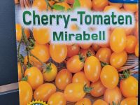 Cherry Tomate "Mirbell" gelbe Tomate Nordrhein-Westfalen - Herne Vorschau