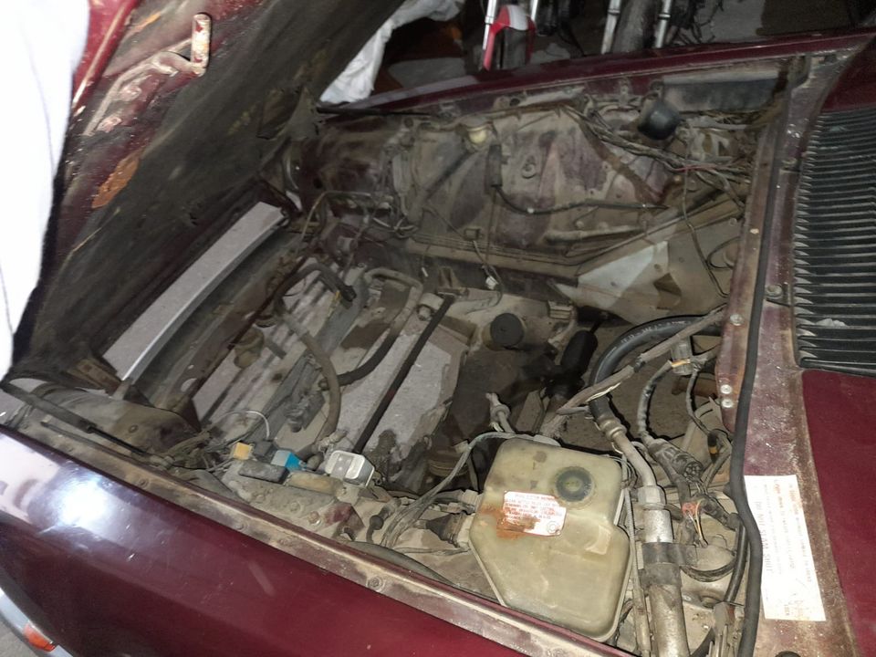 Jaguar XJS V12 Motor defekt in Bruchhausen-Vilsen