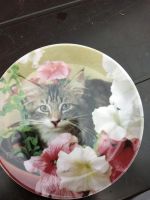 Porzellan Wandteller mit Katzenmotiv Niedersachsen - Uplengen Vorschau