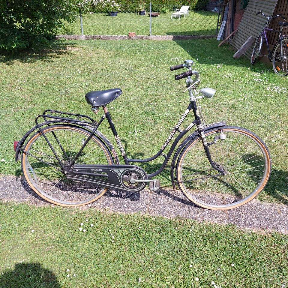 Damenfahrrad Kalkhoff in Neuburg a.d. Donau