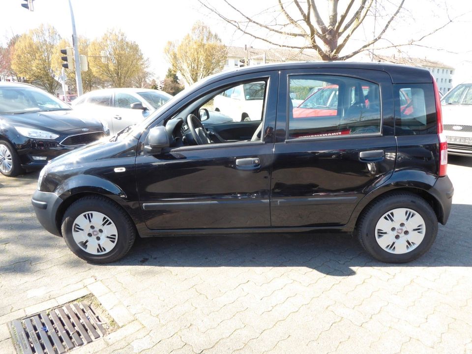 Fiat Panda 1.1 8V Active in Minden