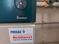 Vaillant gaskessel Warmwasserspeicher Gestank und zubehör Hessen - Steinau an der Straße Vorschau