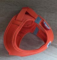 Curli Vest Clasp Air-Mesh xxs Nordrhein-Westfalen - Gladbeck Vorschau