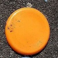 Frisbee orange Thüringen - Eisenberg Vorschau