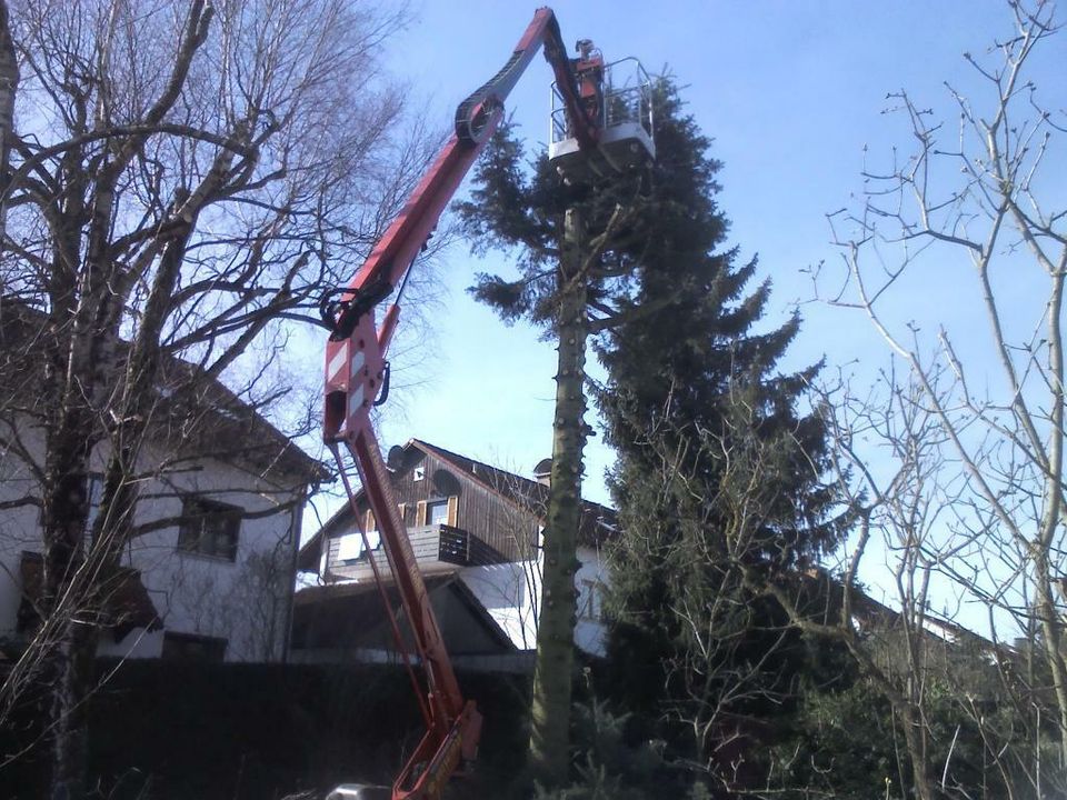 Baum fällen in Bergkirchen