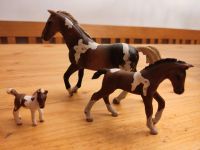 Diverse Schleichtiere Schleich Feen Pferde Fohlen Nordrhein-Westfalen - Kerpen Vorschau