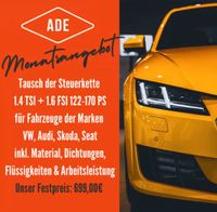 Tausch der Steuerkette der Marken VW-Audi-Skoda-Seat . 1,4TSI-1,6 Thüringen - Eisenach Vorschau