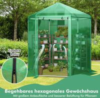 Gewächshaus Gartenhaus Treibhaus Foliengewächshaus Garten Haus Hessen - Bebra Vorschau