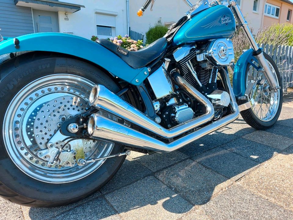 Harley Davidson Softtail Custom Bj95 EVO in Brüggen