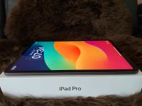 Apple iPad Pro 1. Gen 64GB, Wi-Fi, 11 Zoll, 2018 - Space Grau Schleswig-Holstein - Albersdorf Vorschau