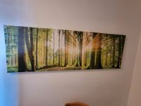 Schönes Leinwandbild WALD und Licht zu verkaufen Bayern - Bayreuth Vorschau