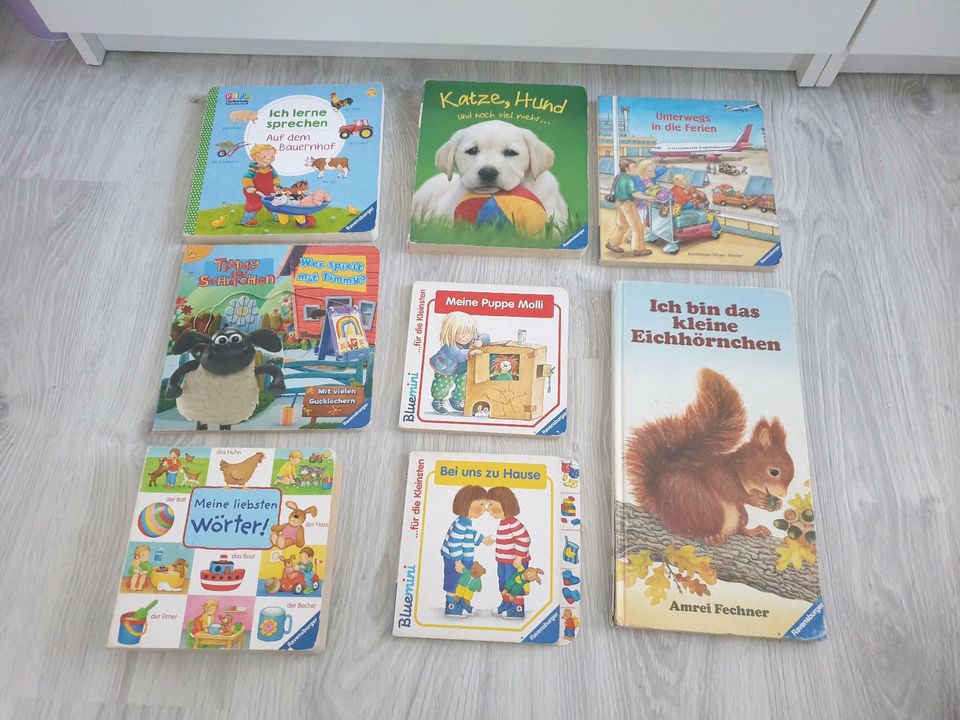 Kinderbuch Ravensburger Wörter Flughafen Timmy Sprechen Puppe in Drochtersen