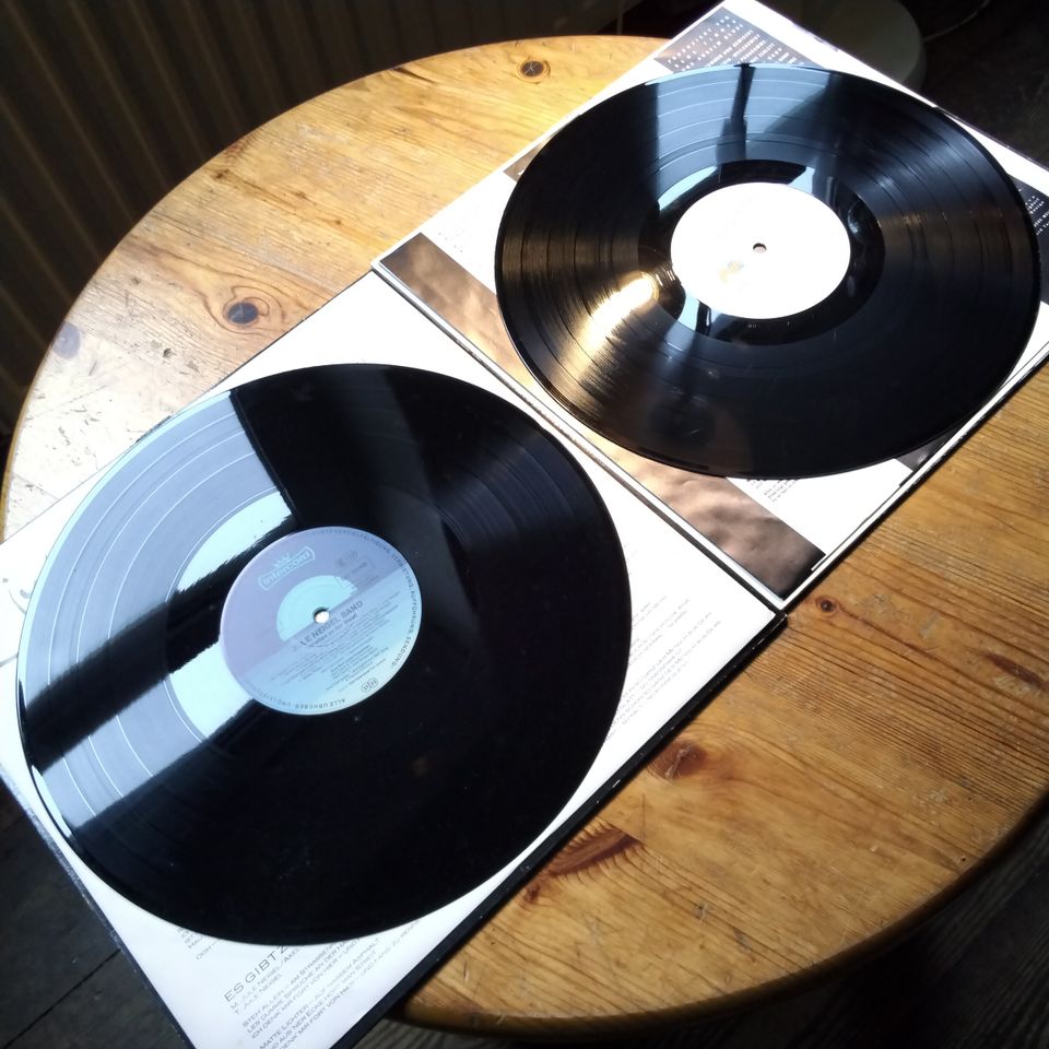 2x Jule Neigel Band Schatten an der Wand + Wilde Welt LP Vinyl nm in Kiel