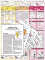 Dr. Hamer: Hirnnerven-Tabelle der Germanischen Neuen Medizin Niedersachsen - Verden Vorschau