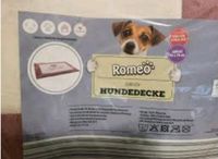 ROMEO Hundedecke Pink Hundekissen Rosa Hundebett Aldi XXL Decke Sachsen-Anhalt - Magdeburg Vorschau