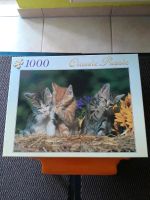 Puzzle  1000 Teile Katzen Leipzig - Großzschocher Vorschau